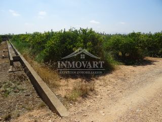 Rural plot in Algemesí