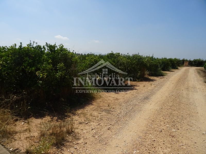 Foto ab237113-4604-4431-895d-e338cc3435fa. Finca rústica a Algemesí