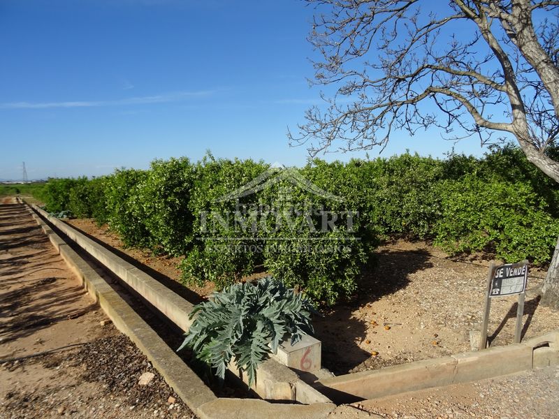 Foto 0becc355-9cb4-416a-a09c-d64c631dd1ea. Finca rústica a Algemesí