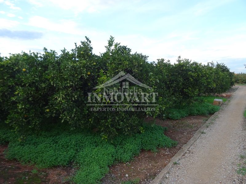 Foto a93e0379-b794-4abd-920b-366d42b80913. Finca rústica en Algemesí