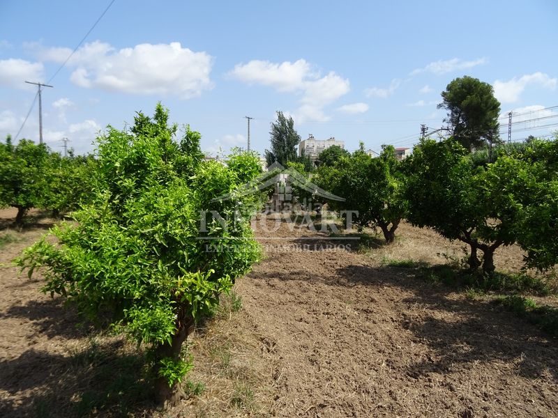 Foto f3cf9237-963e-47af-bded-d2b8860591be. Finca rústica en Algemesí