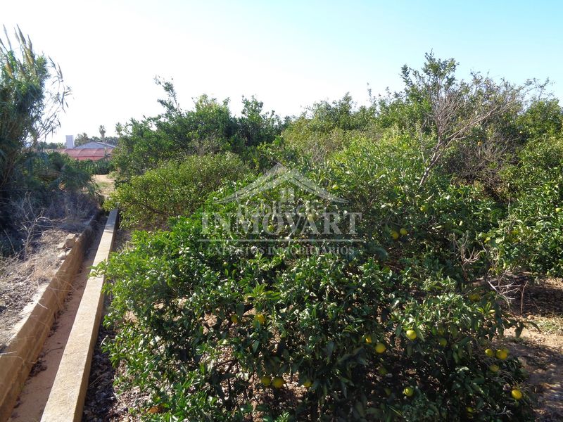 Foto 535aa288-b1c6-43d0-b4d8-5bafe9bdbe53. Finca rústica en Algemesí
