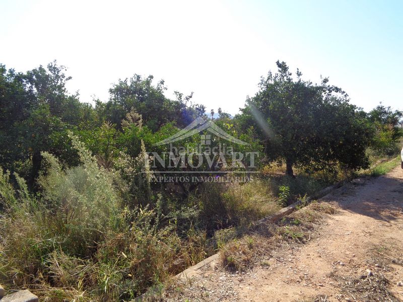 Foto a2e5e09d-6629-4248-a415-794e43be390f. Finca rústica en Algemesí