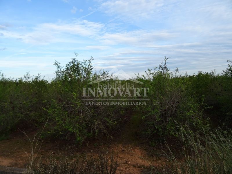 Foto 92328339-3b59-4848-a91e-a09aff6472ff. Finca rústica en Alginet