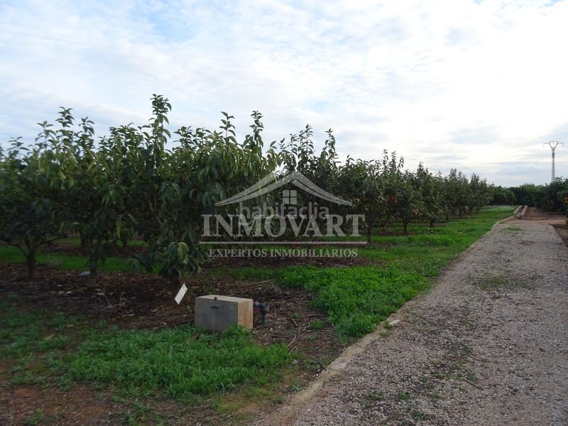 Foto 61551a36-a5c4-43b9-9d41-36a041f5d285. Finca rústica a Alginet