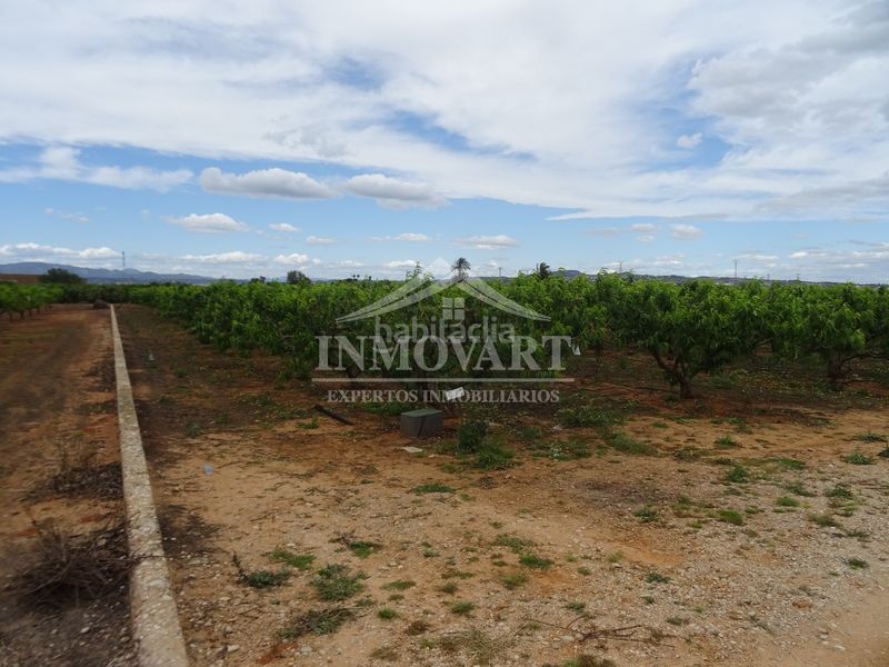 Foto 7a7350d3-acb5-4e4e-8d3f-0836cd76e00e. Finca rústica en Algemesí