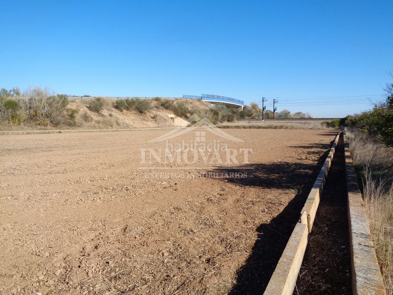Foto ceeff361-14da-47b3-aa56-66a9f5e9ee33. Finca rústica a Algemesí