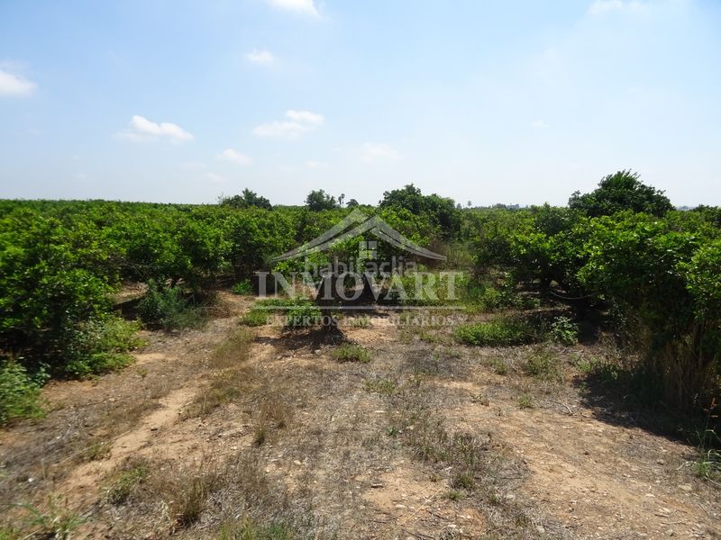 Foto b1ce74a9-fa5e-4070-9cf7-2eee38703d9a. Finca rústica a Algemesí