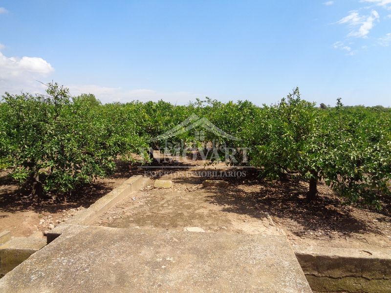 Foto 088f9bfe-6d1d-4ba9-949e-cbb2c4f8b069. Finca rústica en Sollana