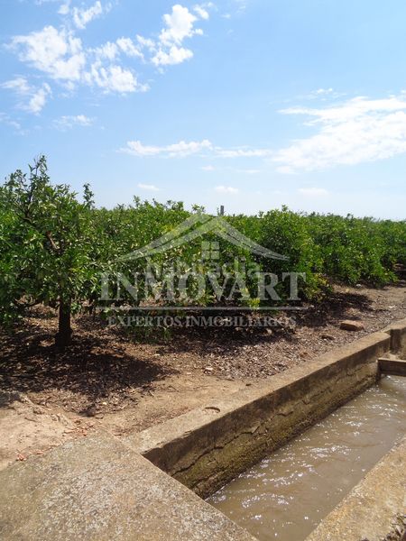 Foto ae75d71a-d316-464c-a21e-6680d5fa333e. Finca rústica en Sollana