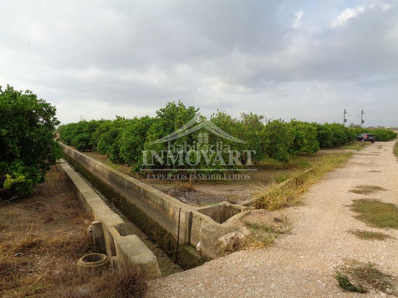 Foto 0536a8a5-3715-4e46-8633-c6ba9fa687f2. Finca rústica en Algemesí
