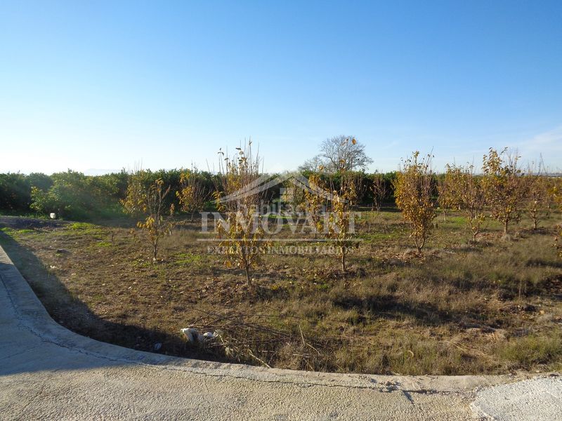 Foto ef8bd173-b1a0-4c17-a216-3e08d08e33a2. Finca rústica en Algemesí