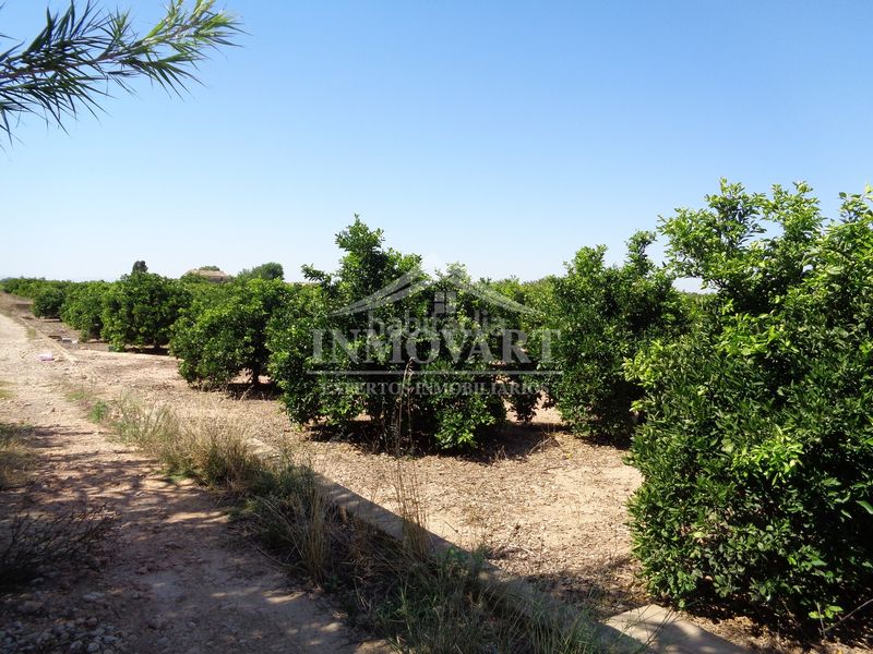 Foto 09af7684-ca62-4cdb-8d9b-e1377a180268. Landgut in Sollana