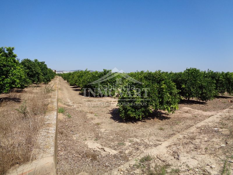 Foto 47dc5128-5ad7-4212-a95d-0f1734424098. Landgut in Sollana