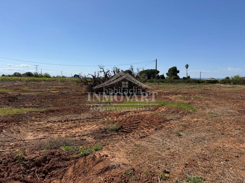 Foto 4a6a878e-1f35-4f4f-9a80-3d74f2d54393. Finca rústica a Guadassuar