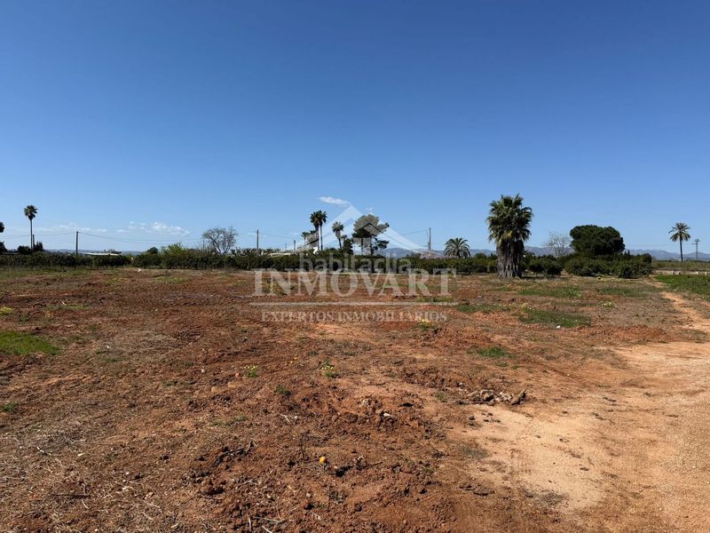 Foto 809985f6-24f0-42b3-bd4b-ad51a162877a. Finca rústica a Guadassuar