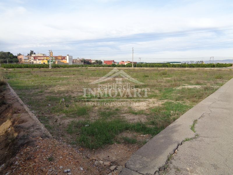 Foto b7d6875a-8811-4843-9619-01f6b5d60dbd. Finca rústica a Algemesí