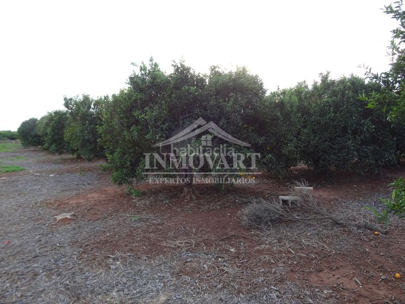 Foto 912ee3c2-05d1-44e1-a913-13bf281eb109. Finca rústica en Alginet