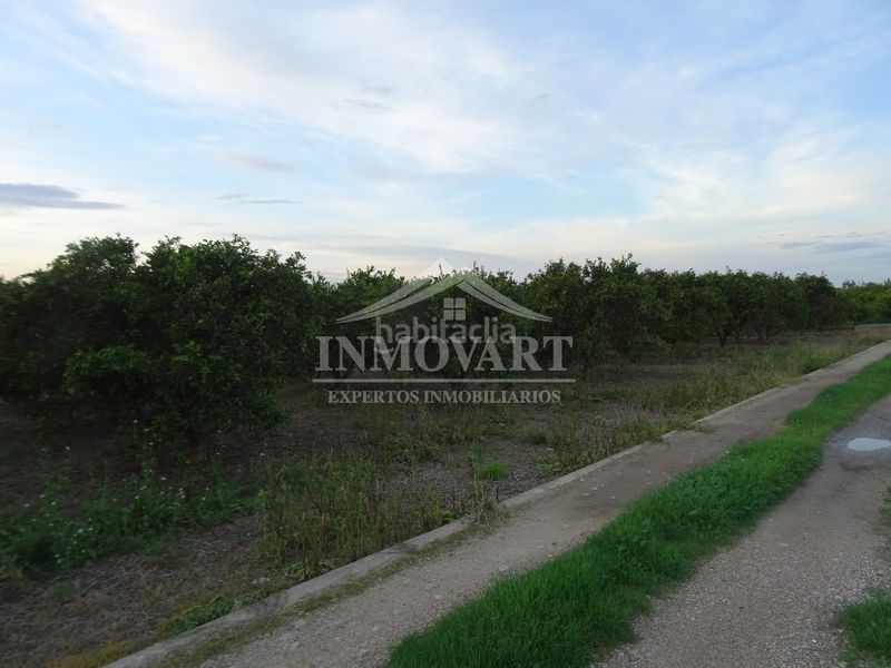 Foto 5146c84a-d7a8-42bd-8da4-29658d1b366f. Finca rústica a Algemesí