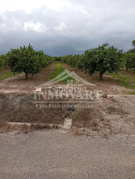 Foto c516261a-9b36-4689-abbc-06fb78ef74c9. Finca rústica a Polinyà de Xúquer
