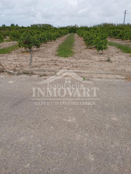 Foto 419ea333-8b7a-46c3-ba42-a6f806364659. Finca rústica en Polinyà de Xúquer