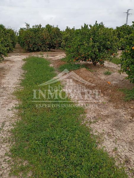 Foto 9cf06e58-4b65-447d-bda6-906898546d10. Finca rústica en Polinyà de Xúquer