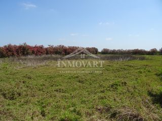Rural plot in Algemesí