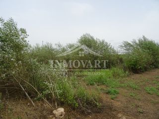 Rural plot in Algemesí