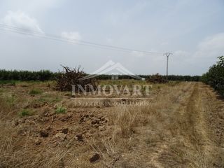Rural plot in Algemesí