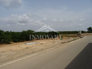 Rural plot in Algemesí