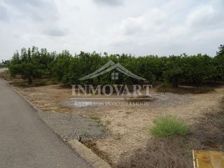 Rural plot in Algemesí