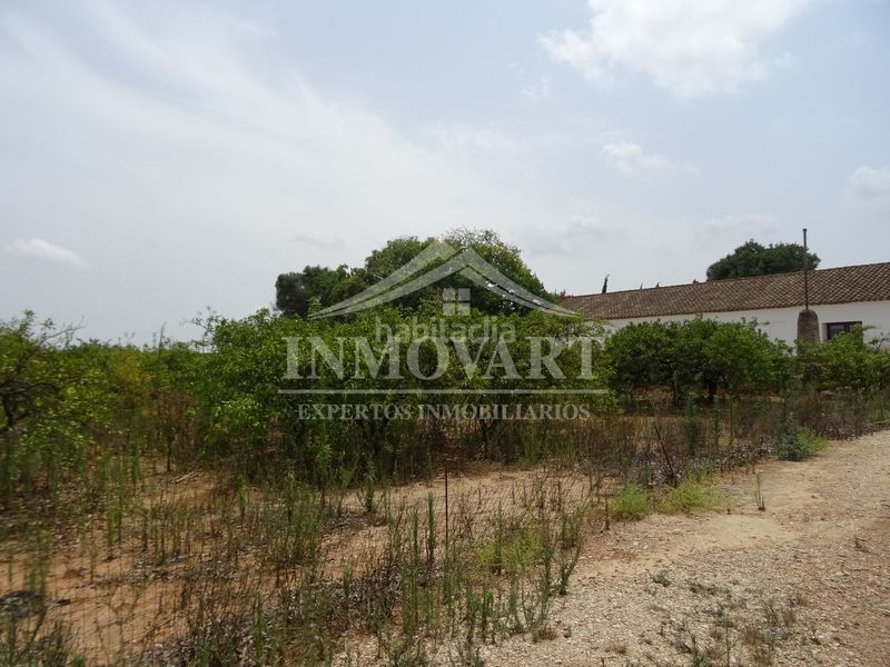 Foto bea4f949-5035-45f9-89af-e123b5779084. Finca rústica a Algemesí