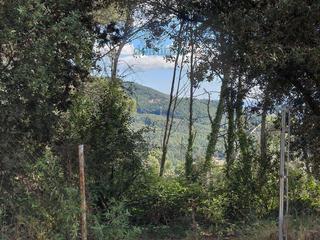 Fondo rustico in De les pinasses. Parcela en venta en sant feliu del racó