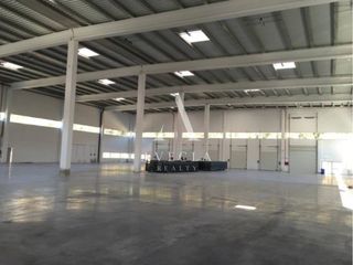 Miete Fabrikhalle in Calle tecnlogia n. Nave industrial en alquiler en llinars park