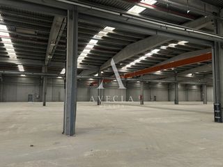 Lloguer Nau industrial a Calle ter 1. Nave industrial en alquiler en sant feliu de buixalleu