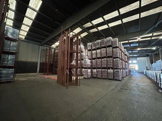 Miete Fabrikhalle in Ter 36. Nave industrial en alquiler en sant feliu de buixalleu