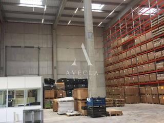 Lloguer Nau industrial a Europa 5. Nave industrial aislada tipo c en alquiler en granollers