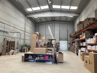 Bâtiment à usage industriel à Torre Bovera 19