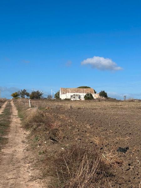 Foto 930956b0-0069-40b9-8116-a462b0036fdc. Finca rústica a Norte - Blanca Paloma Rota