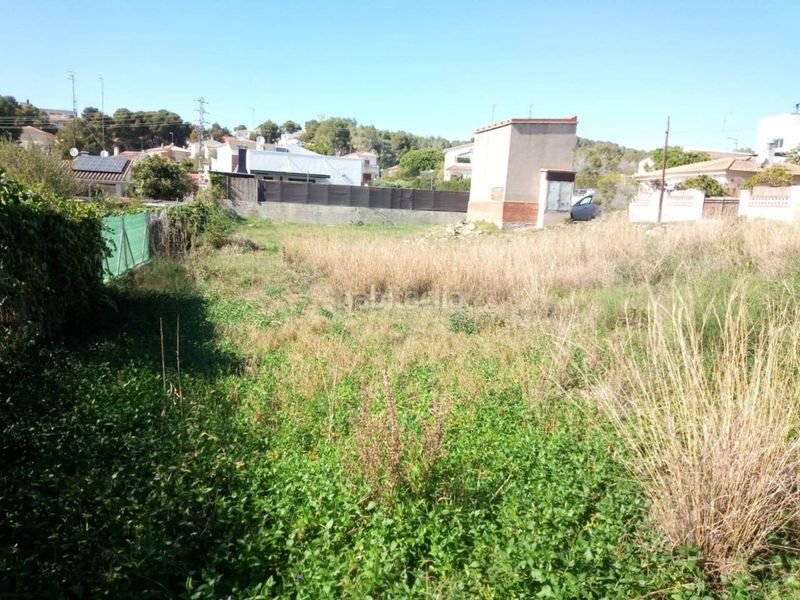 Foto ad1775ce-8842-4690-8cd9-a8dad9bb0fb5. Finca rústica a Cunit residencial Cunit