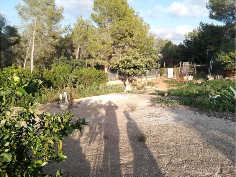 Foto ff6b42f5-ad5d-4e05-b73b-b26c44952837. Propriété dans costa Cunit - els jardins - els rosers Cunit