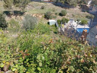 Finca rústica a Costa Cunit - Els Jardins - Els Rosers. Terreno en venta en cunit