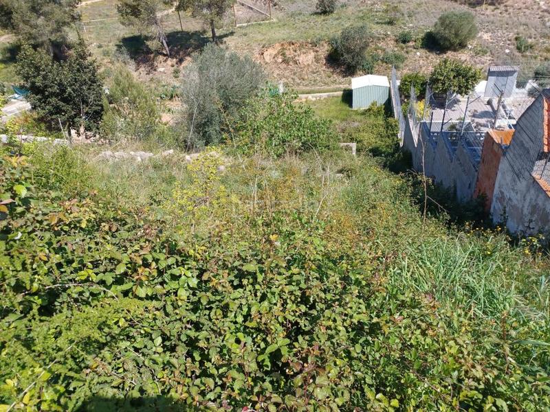 Foto f5b84433-0c19-4c5c-8fe2-0a2d28a08696. Propriété dans costa Cunit - els jardins - els rosers Cunit