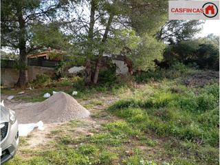 Finca rústica a Mas Trader-Corral d´En Tort-Corral d´En Cona. No edificable  finca rústica 471 m2 en corral den tort  vilanova