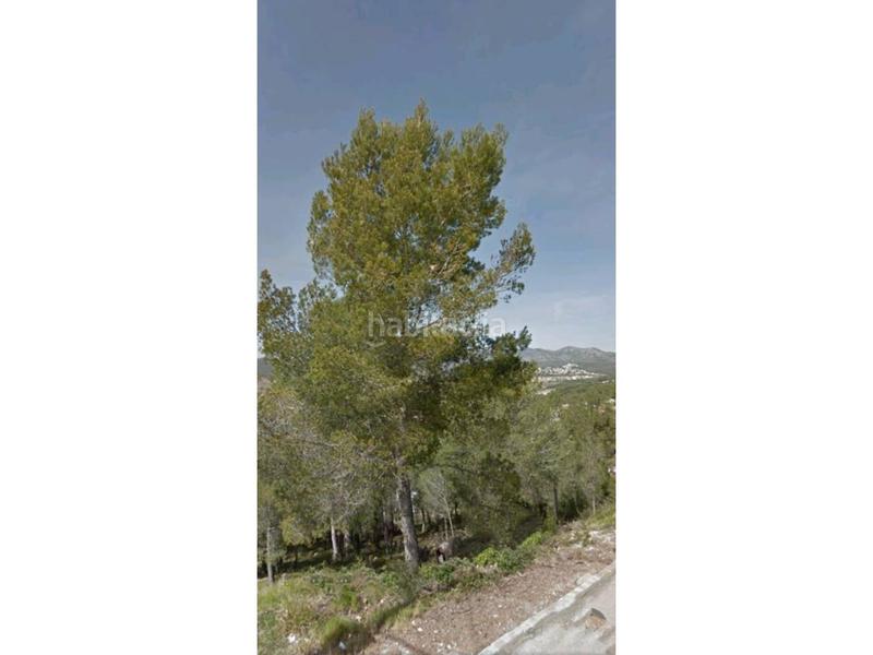 Foto e4e6450d-faa2-436b-b9d3-3ddcc5c7fb45. Fondo rustico in Bisbal del Penedès (La)