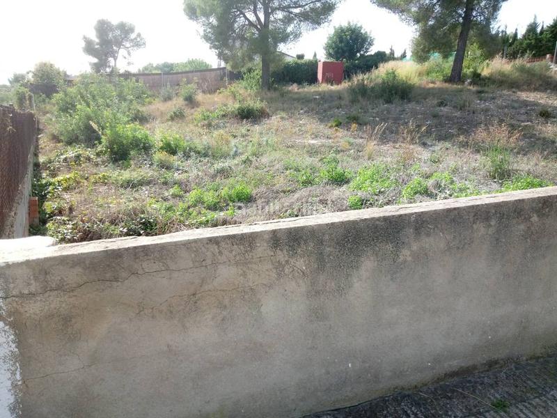 Foto abd5d8e0-7c24-41a6-a3a0-0da1919c69c6. Fondo rustico in costa Cunit - els jardins - els rosers Cunit