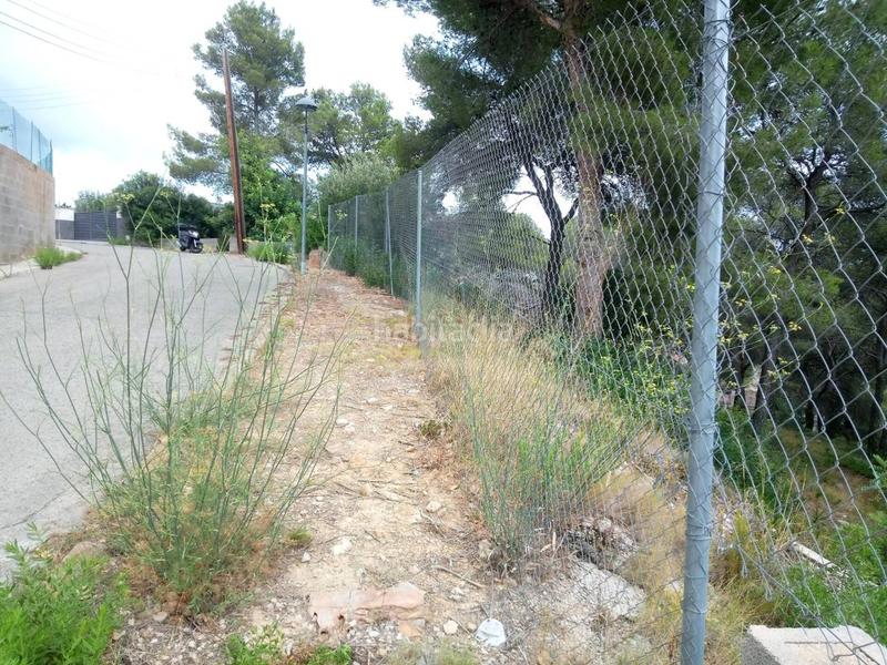 Foto c116dc6c-9fb1-437e-8da6-3a0a66e0aa9f. Finca rústica a costa Cunit - els jardins - els rosers Cunit