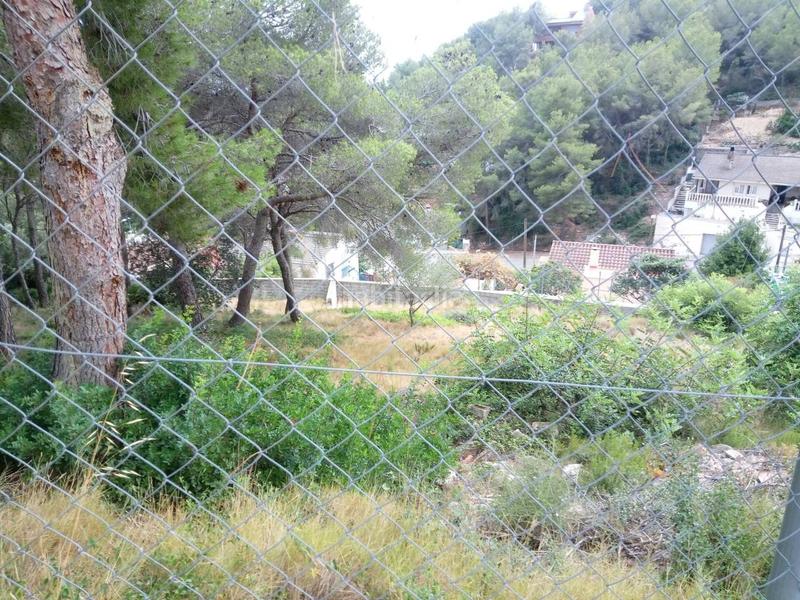 Foto e4feb5d4-67c5-4e81-93f8-97e789f7e71d. Finca rústica a costa Cunit - els jardins - els rosers Cunit