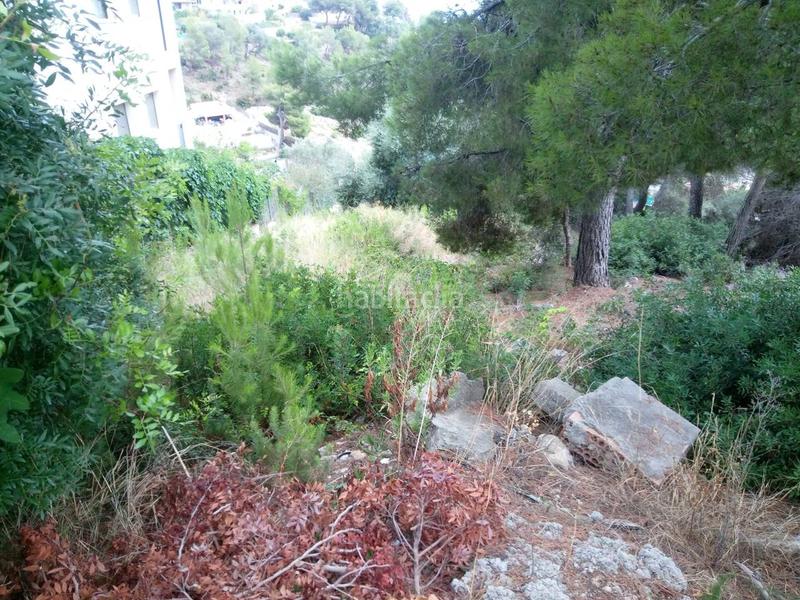 Foto fded91da-ca61-4dc7-b3e9-bba1f43955ec. Finca rústica a costa Cunit - els jardins - els rosers Cunit