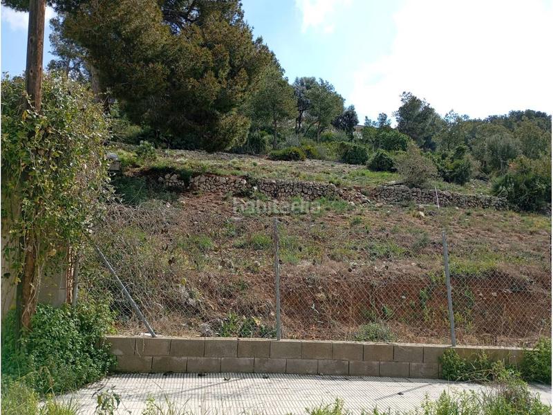 Foto c55b6ab7-8531-4076-9c4c-4ab896d1ebb4. Terreny residencial a costa Cunit - els jardins - els rosers Cunit